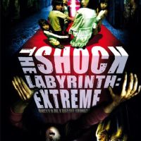 The shock labyrinth extreme