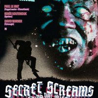 Secret screams - Grida dal mistero