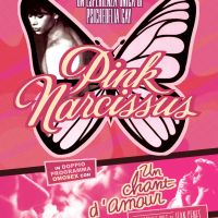 Pink narcissus + Un chant d'amour