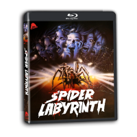 Spider Labyrinth (Il nido del ragno)