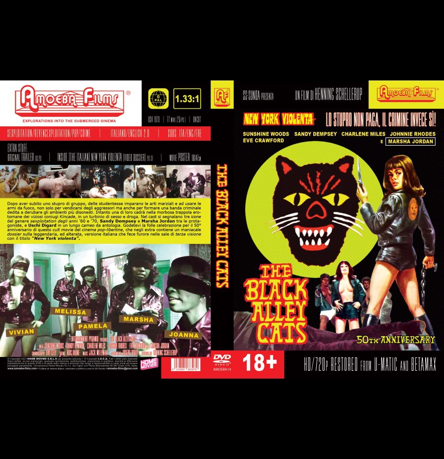 The black alley cats - 50th Anniversary