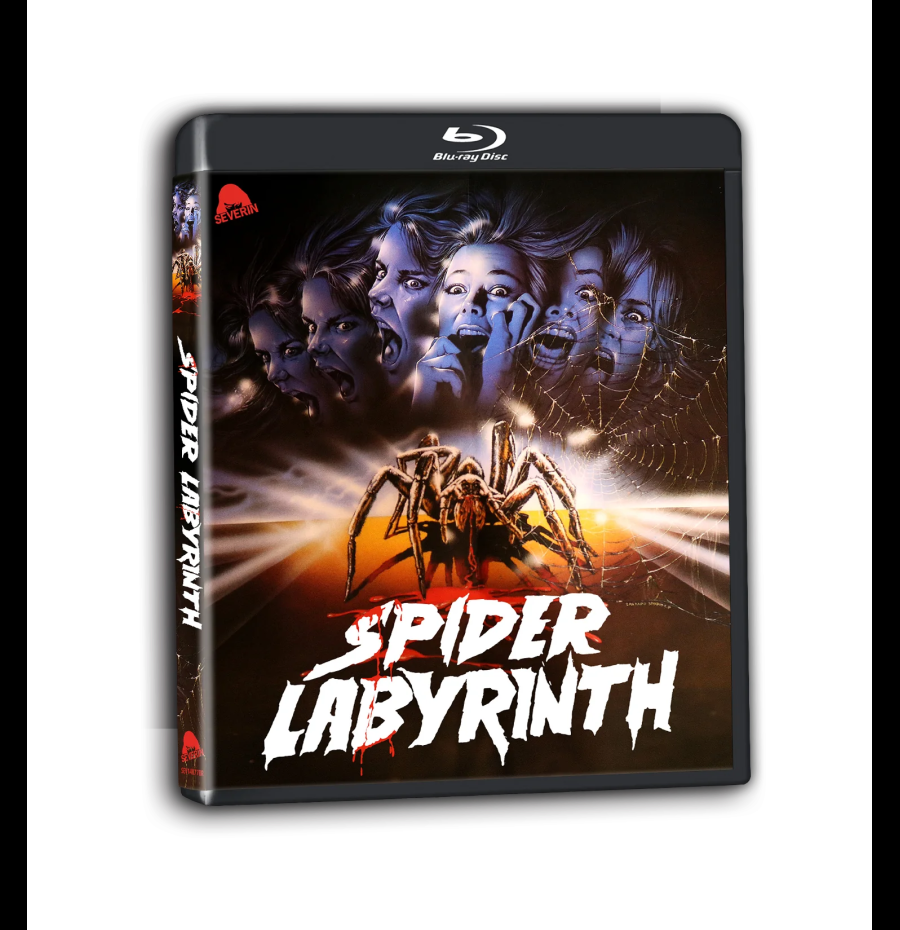 Spider Labyrinth (Il nido del ragno)